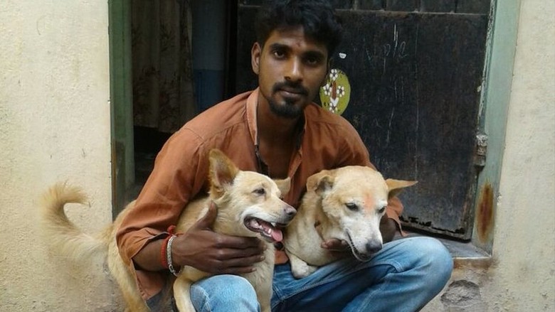 Heroik! Dua Anjing ini Bantu Tangkap Penjahat di India