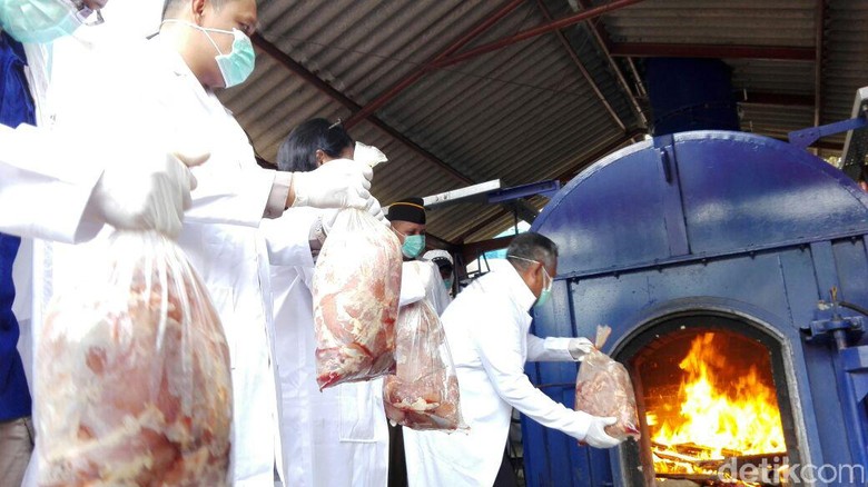 2 Ton Daging Celeng dan Gulma Impor Ilegal Dimusnahkan di Cilegon 2 Ton Daging Celeng dan Gulma Impor Ilegal Dimusnahkan di Cilegon