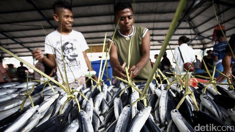Orang RI Malas Makan Ikan, Apa Karena Harganya Mahal? Orang RI Malas Makan Ikan, Apa Karena Harganya Mahal?