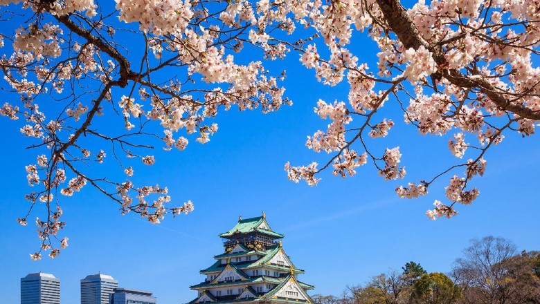 Foto: (Thinkstock) Foto: (Thinkstock)