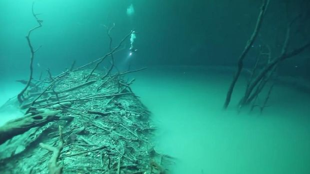 Sungai ini tercipta karena perbedaan kandungan garam (TecdiveTV/Youtube)