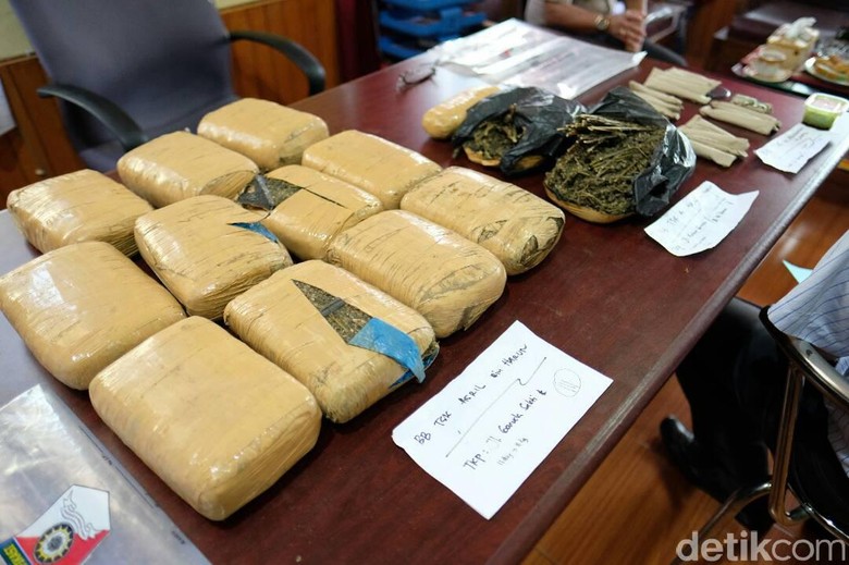 Edarkan Ganja 12 Kg, 2 Mahasiswa Ditangkap Polisi Edarkan Ganja 12 Kg, 2 Mahasiswa Ditangkap Polisi