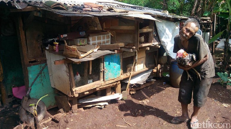 Tinggal di Gubuk Derita, Abah Tarsa Hanya Ditemani Kucing Tinggal di Gubuk Derita, Abah Tarsa Hanya Ditemani Kucing