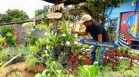 menaraimpian.com Cantiknya Kampung My Darling di Kaki Gunung Cikuray Garut