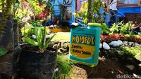 menaraimpian.com Cantiknya Kampung My Darling di Kaki Gunung Cikuray Garut