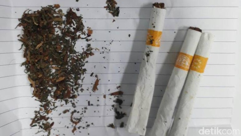 Kasus Ganja Iwa K, Polisi Buru Seorang Berinisial N Kasus Ganja Iwa K, Polisi Buru Seorang Berinisial N