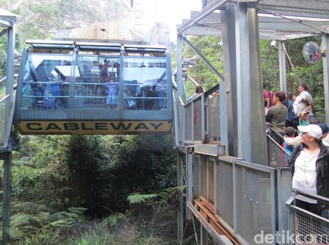 Kereta gantung Scenic Cableway (Fitraya/detikTravel)