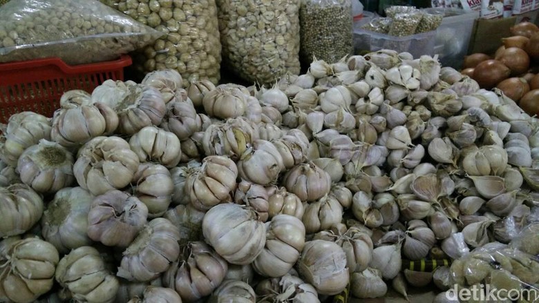 7.000 Ton Benih Bawang Putih Bakal Dipasok ke Petani 7.000 Ton Benih Bawang Putih Bakal Dipasok ke Petani