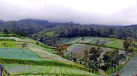 Pemandangan indah dari Candi Cetho (Wahyu/detikTravel)