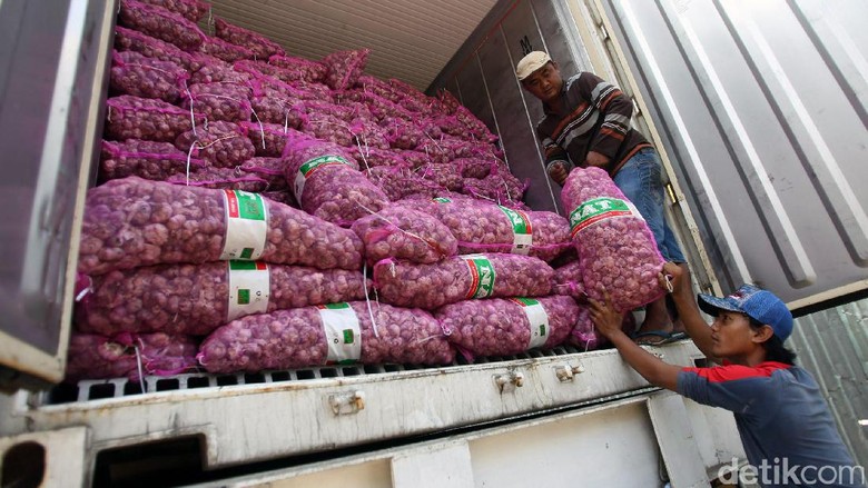 Petani Ogah Tanam Bawang Putih, Kenapa? Petani Ogah Tanam Bawang Putih, Kenapa?