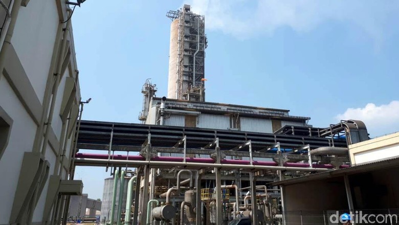 Harga Gas US$ 6/MMBTU, Apa Dampaknya ke Produksi Pupuk? Harga Gas US$ 6/MMBTU, Apa Dampaknya ke Produksi Pupuk?