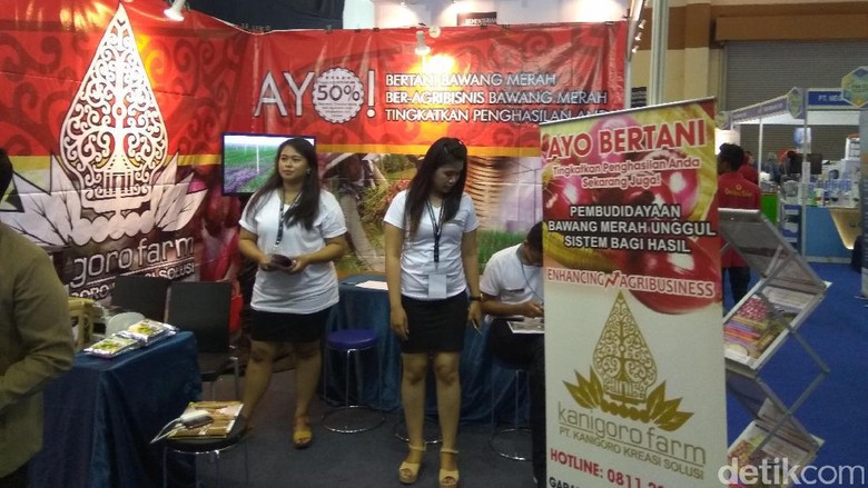 Investasi Bawang Merah, Tiga Kali Panen Untung 30% Investasi Bawang Merah, Tiga Kali Panen Untung 30%