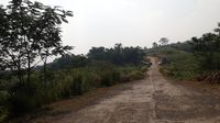 Mengintip Kondisi Terkini Jalur Puncak II yang Mangkrak