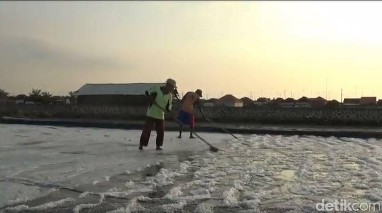 Izin Impor Garam Industri Tak Perlu Rekomendasi KKP Izin Impor Garam Industri Tak Perlu Rekomendasi KKP