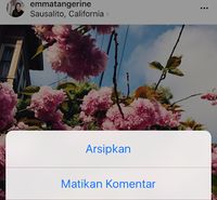 Instagram Hadirkan Fitur Anti <i>Stalking</i>