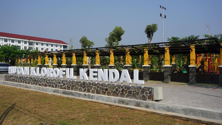 Taman Hutan Klorofil Kendal, isinya berbagai tanaman langka (Masaul/detikTravel) Taman Hutan Klorofil Kendal, isinya berbagai tanaman langka (Masaul/detikTravel)