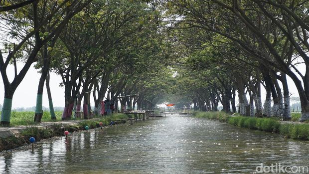 Awalnya populer lewat sosmed (Masaul/detikTravel)