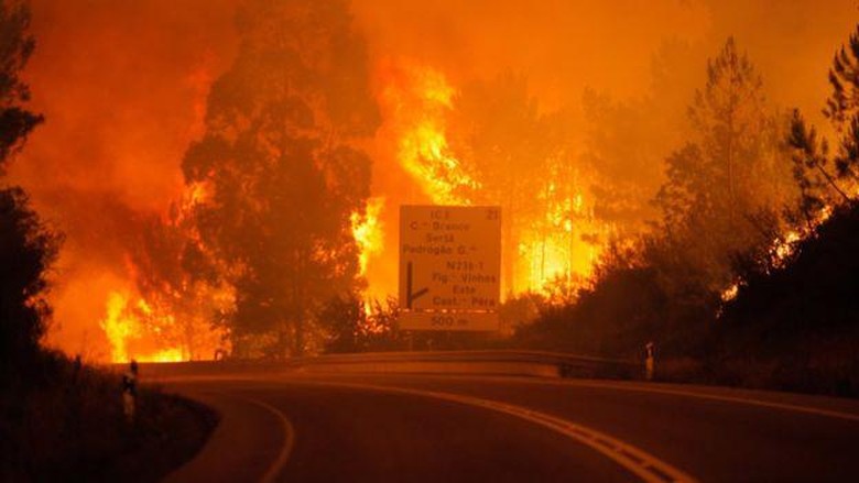 Kebakaran Hutan Dahsyat Terjadi di Portugal, 62 orang tewas