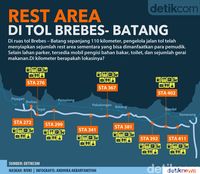 Pakai Toilet Umum Saat Mudik, Begini Cara Jaga Kebersihan 