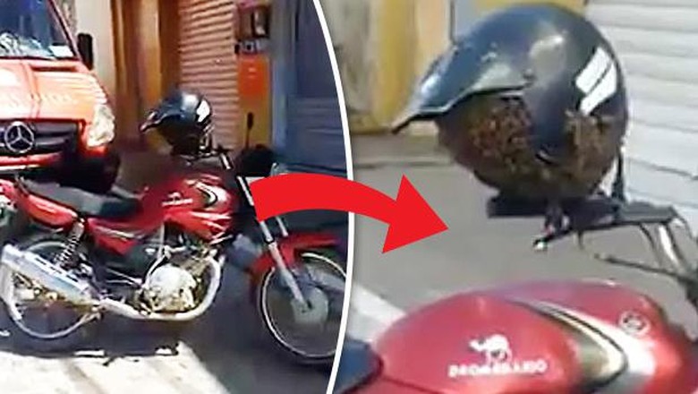 Helm Ini Dikerubungi Tawon Saat Ditaruh di Kaca Spion Helm Ini Dikerubungi Tawon Saat Ditaruh di Kaca Spion