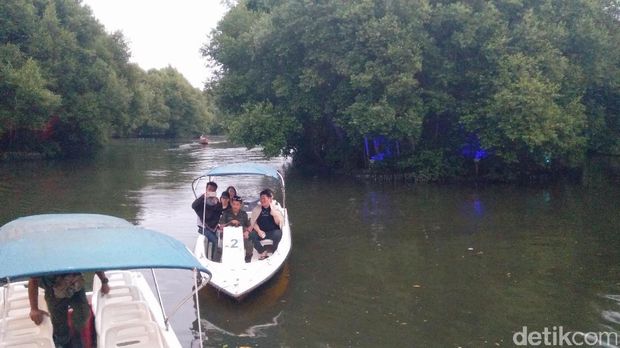 Naik Boat Susuri Hutan Bakau Jadi Pilihan Wisata Lebaran di PIK