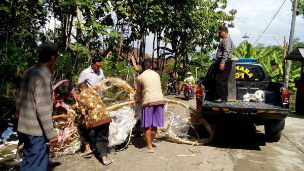 Balon Udara Jatuh di Ngawi dari Ponorogo? Ini Jawaban Polisi Balon Udara Jatuh di Ngawi dari Ponorogo? Ini Jawaban Polisi