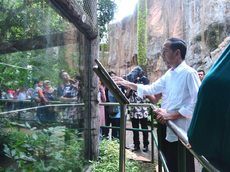 Liburan ke Ragunan, Jokowi dan Rombongan Tetap Bayar Tiket Masuk