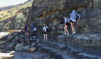 Bentuk jalur yang dilewati untuk menuju kolam berbentuk angka 8 ( dok. Royal National Park)