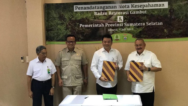Restorasi Gambut di Wilayah Sumsel Akan Dipercepat Restorasi Gambut di Wilayah Sumsel Akan Dipercepat
