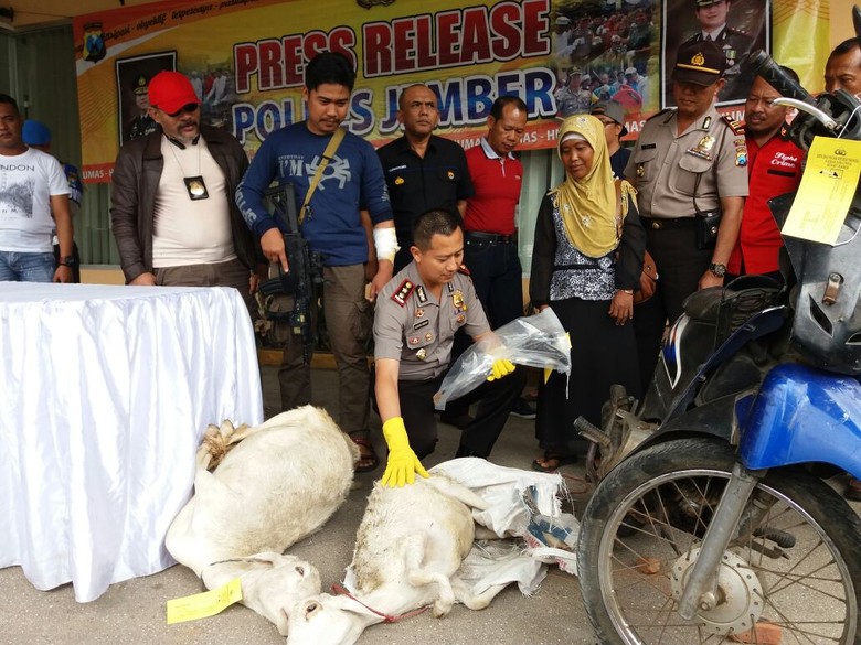 Pencuri Kambing Ditembak Mati Usai Bacok Polisi Pencuri Kambing Ditembak Mati Usai Bacok Polisi
