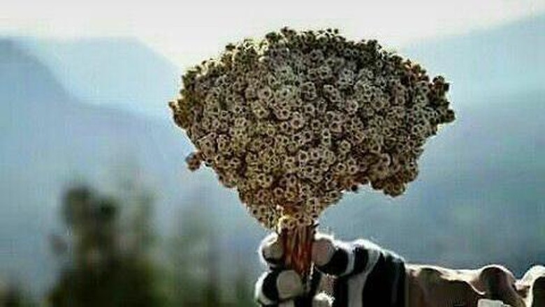 Catat! Hal Ini Bisa Bikin Kamu Di-Blacklist di Rinjani Catat! Hal Ini Bisa Bikin Kamu Di-Blacklist di Rinjani