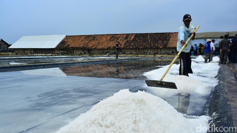 Target Swasembada Garam 2019, Luhut: Supaya Enggak Impor Terus Target Swasembada Garam 2019, Luhut: Supaya Enggak Impor Terus