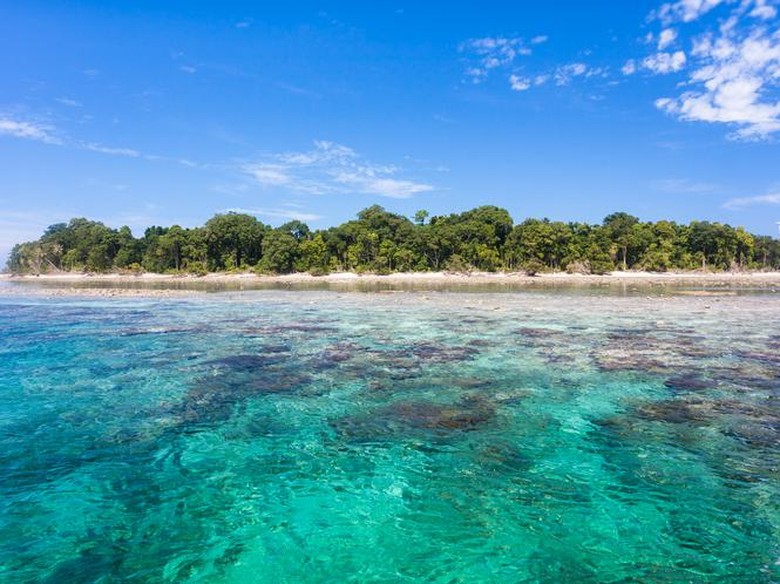 Tempat Diving Terbaik di Asia Ini Dulunya Indonesia Tempat Diving Terbaik di Asia Ini Dulunya Indonesia