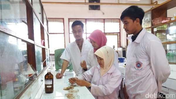 Limbah Kulit Udang dan Biji Alpukat Bisa Dijadikan Bioplastik Limbah Kulit Udang dan Biji Alpukat Bisa Dijadikan Bioplastik