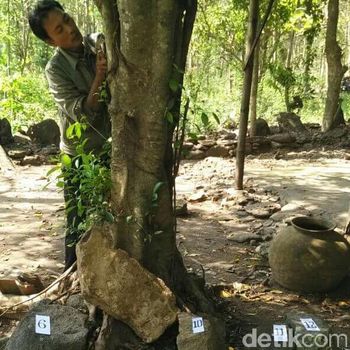 Cagar budaya di Lamongan banyak yang hilang/