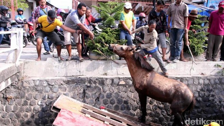 Gambar kisah untuk Klakson Truk dari Detikcom (Siaran Pers) (Pendaftaran)