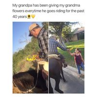 Kisah Romantis Kakek yang Petik Bunga untuk Istri Selama 40 Tahun