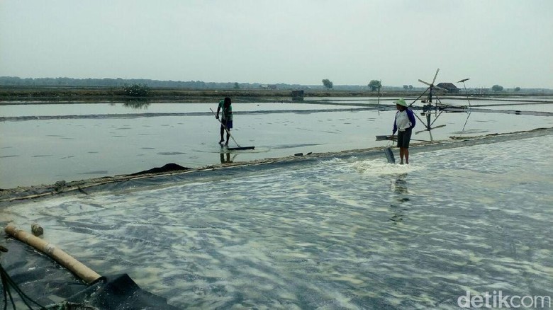 RI Impor Garam, Petani Khawatir Harga Jatuh di Bawah Rp 600/Kg RI Impor Garam, Petani Khawatir Harga Jatuh di Bawah Rp 600/Kg