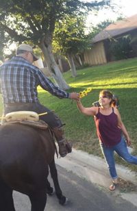 Kisah Romantis Kakek yang Petik Bunga untuk Istri Selama 40 Tahun