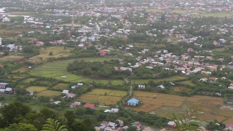 Foto: Lanskap Kota Banda Aceh dilihat dari Bukit Goh Cut (Agus Setyadi/detikTravel) Foto: Lanskap Kota Banda Aceh dilihat dari Bukit Goh Cut (Agus Setyadi/detikTravel)