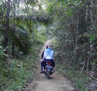 Hanya bisa dicapai naik kendaraan roda dua atau jalan kaki (Kurnia/detikTravel)