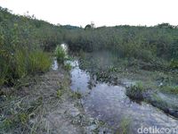 (Kurnia/detikTravel)