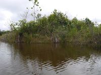 Pulau di tengah danau (Kurnia/detikTravel)