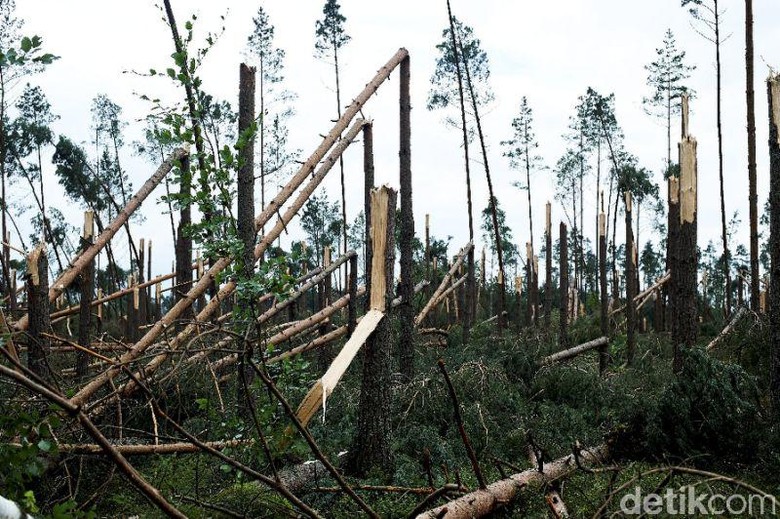 Badai Topan Melanda Polandia, 5 Orang Tewas dan Puluhan Terluka Badai Topan Melanda Polandia, 5 Orang Tewas dan Puluhan Terluka