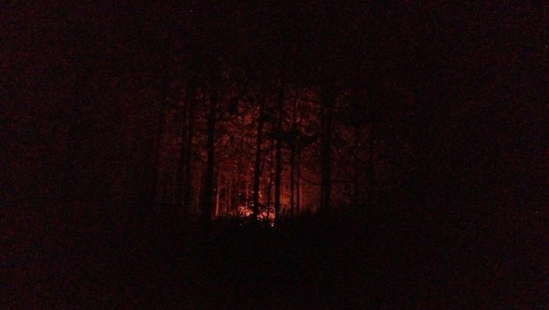 Kebakaran Lahan Terjadi di Kawasan Perhutani Mojokerto Kebakaran Lahan Terjadi di Kawasan Perhutani Mojokerto