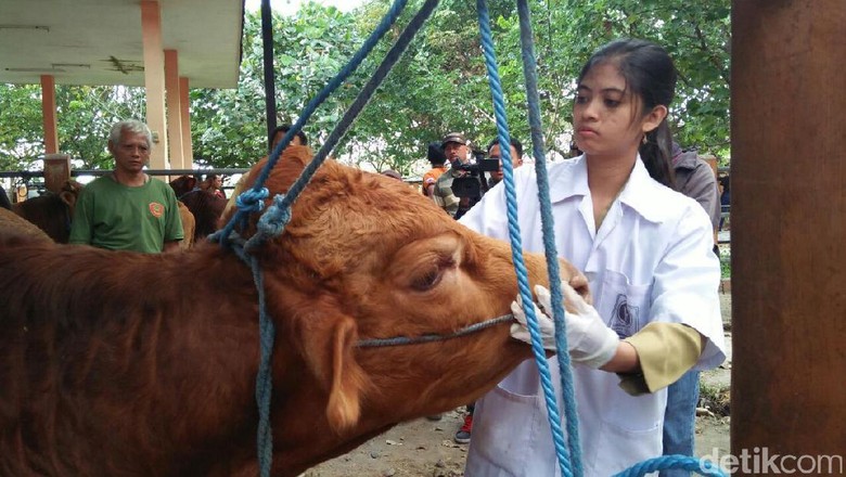 Hewan Kurban di Kabupaten Blitar Ditemukan Indikasi 