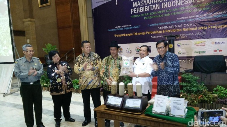 Varietas Padi Ini Tahan Hama, Hasil Produksinya 10 Ton/Hektar Varietas Padi Ini Tahan Hama, Hasil Produksinya 10 Ton/Hektar