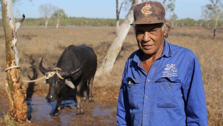 Kisah Para Pemburu Kerbau Liar di Australia Utara Kisah Para Pemburu Kerbau Liar di Australia Utara