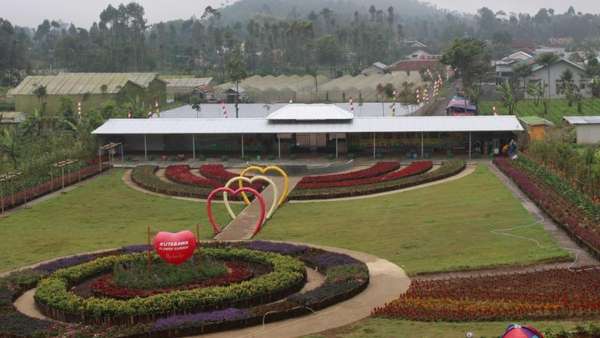 Purbalingga Punya Kebun Bunga Secantik Ini Purbalingga Punya Kebun Bunga Secantik Ini