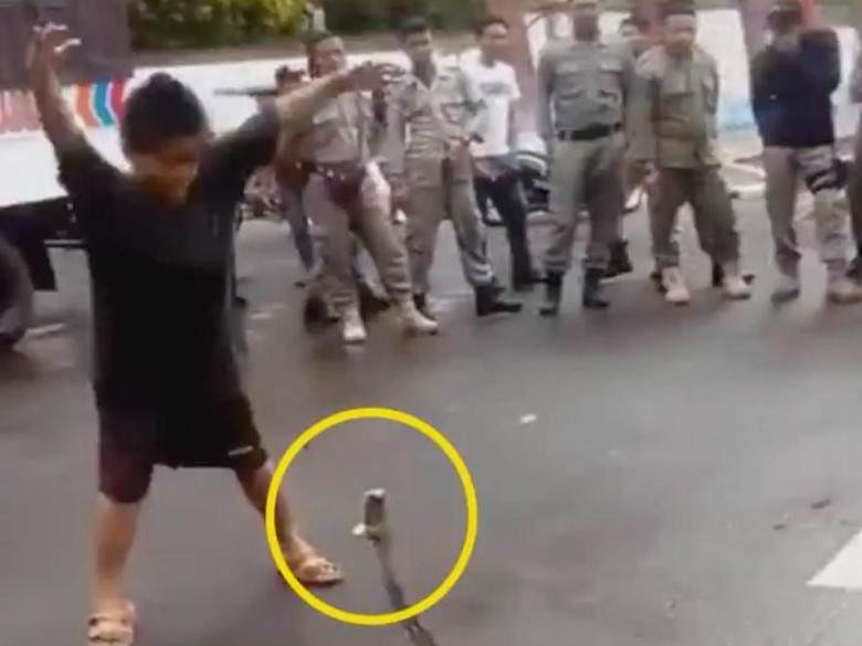 Ngeri! Aksi Nekat Bocah Tangkap Piton Pakai Tangan Kosong Ngeri! Aksi Nekat Bocah Tangkap Piton Pakai Tangan Kosong